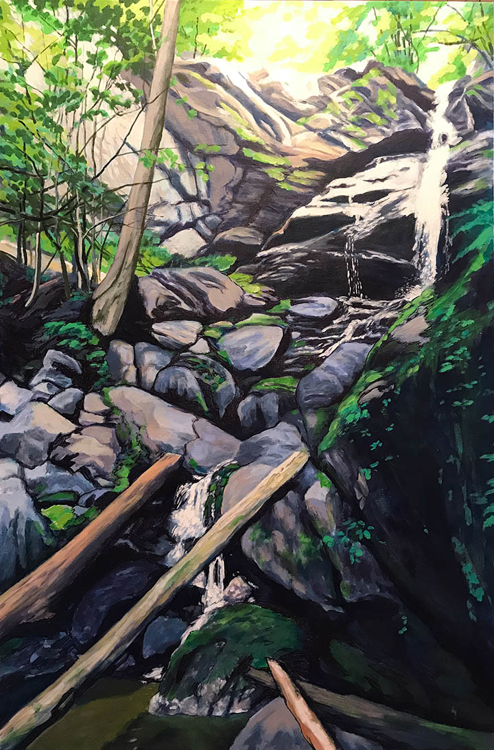 Landscape Portrait: Doyle Falls<